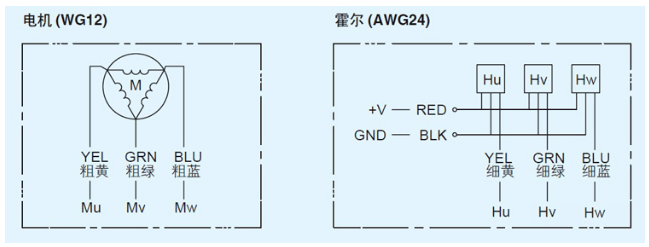 空心杯無刷電機(jī)接線圖